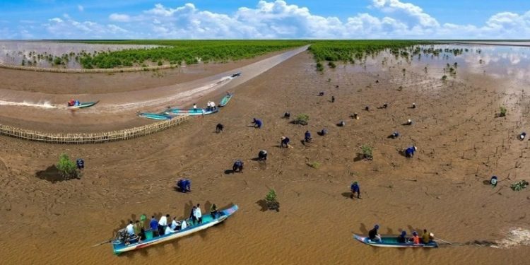 710 Trai Nghiem Du Lich Xanh Hap Dan Tai Ca Mau