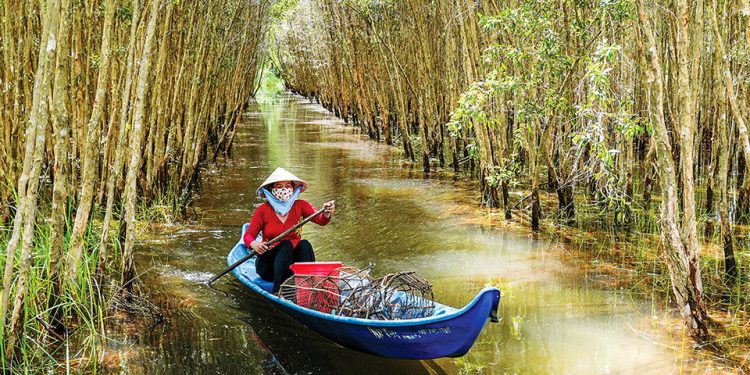 76ve Voi Thien Nhien 1