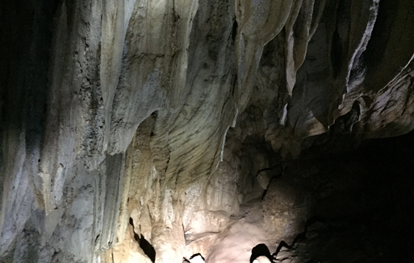 Ota Viet Nam 1 601