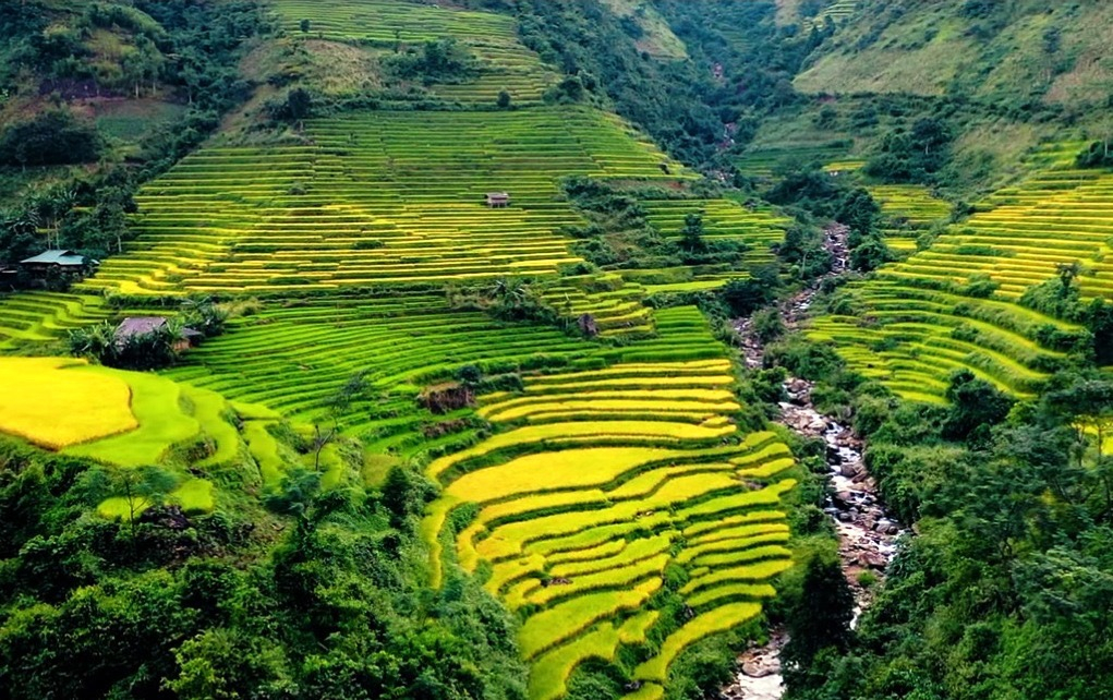 Ota Viet Nam 1 9