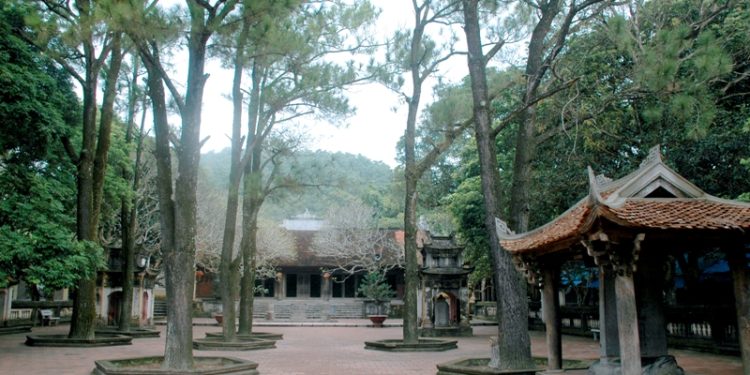 Cokinhchuaconsonkippbac 1