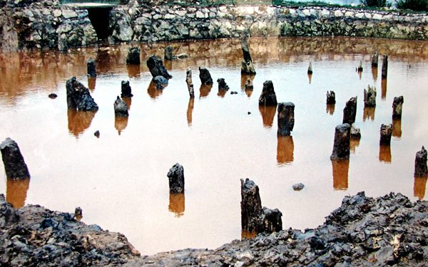 Ditichchiencongbachdang 1