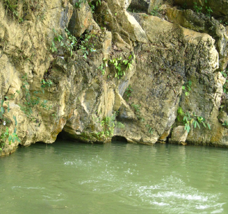 Cận cảnh cửa miệng hang núi nơi ra vào của đàn cá thần