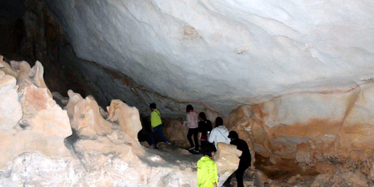 Hangdauguongoquangninh 1