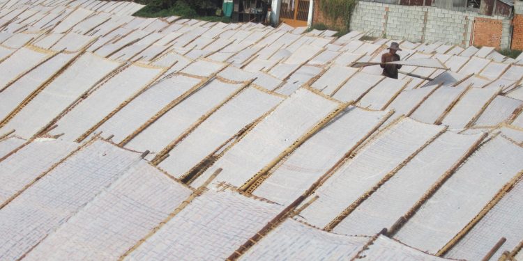 1212tp Ho Chi Minh Lang Banh Trang Tat Bat Cuoi Nam