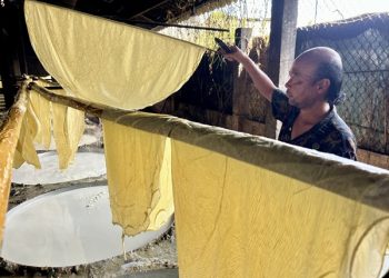 151 Vinh Long Lang Nghe Tau Hu Ky My Hoa Do Lua Don Tet 1