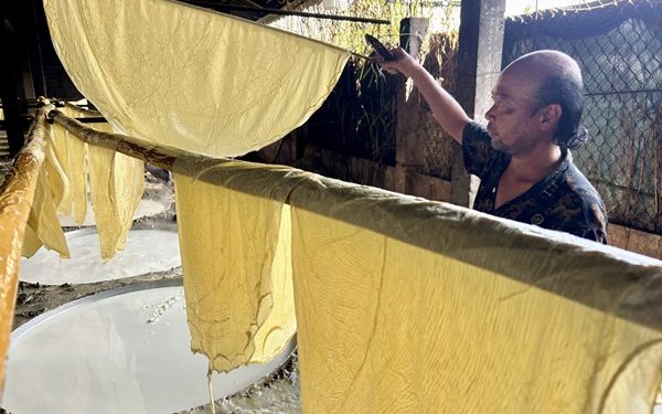 151 Vinh Long Lang Nghe Tau Hu Ky My Hoa Do Lua Don Tet 1