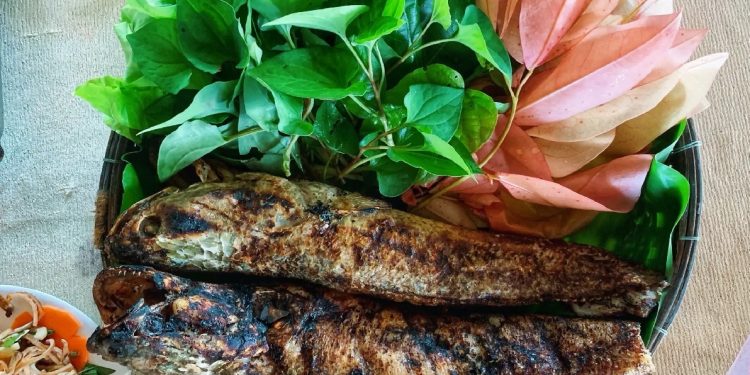 1810ca Loc Nuong Trui Mon Ngon Dan Da