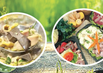 611 Thang Co Ngua Tuyen Quang