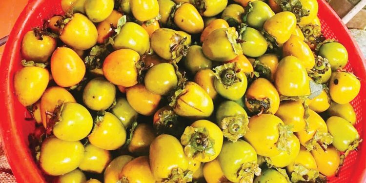 910 Hong Ngam Mon Qua Dan Da Mua Thu