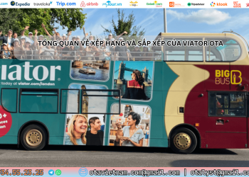 Ota Viet Nam Post Blog Tong Quan Ve Xep Hang Va Sap Xep Cua Viator Ota 2