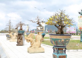 241 Vua Mai Lon Nhat Mien Trung Huong Den Lam Du Lich 1