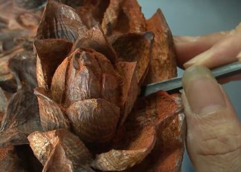 203ha Noi Cong Nhan Diem Du Lich Lang Nghe Go My Nghe Thiet Ung