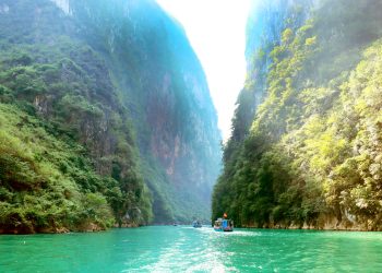 241 Meo Vac Diem Den Hap Dan 1