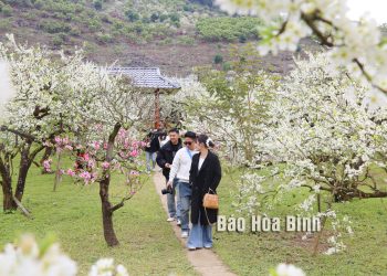 43son La Kham Pha Thien Duong Man Trang Na Ka