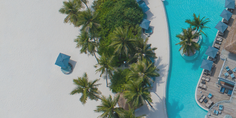 Medium Travel Guide Coachella Festival Edition 5 0e693484a8